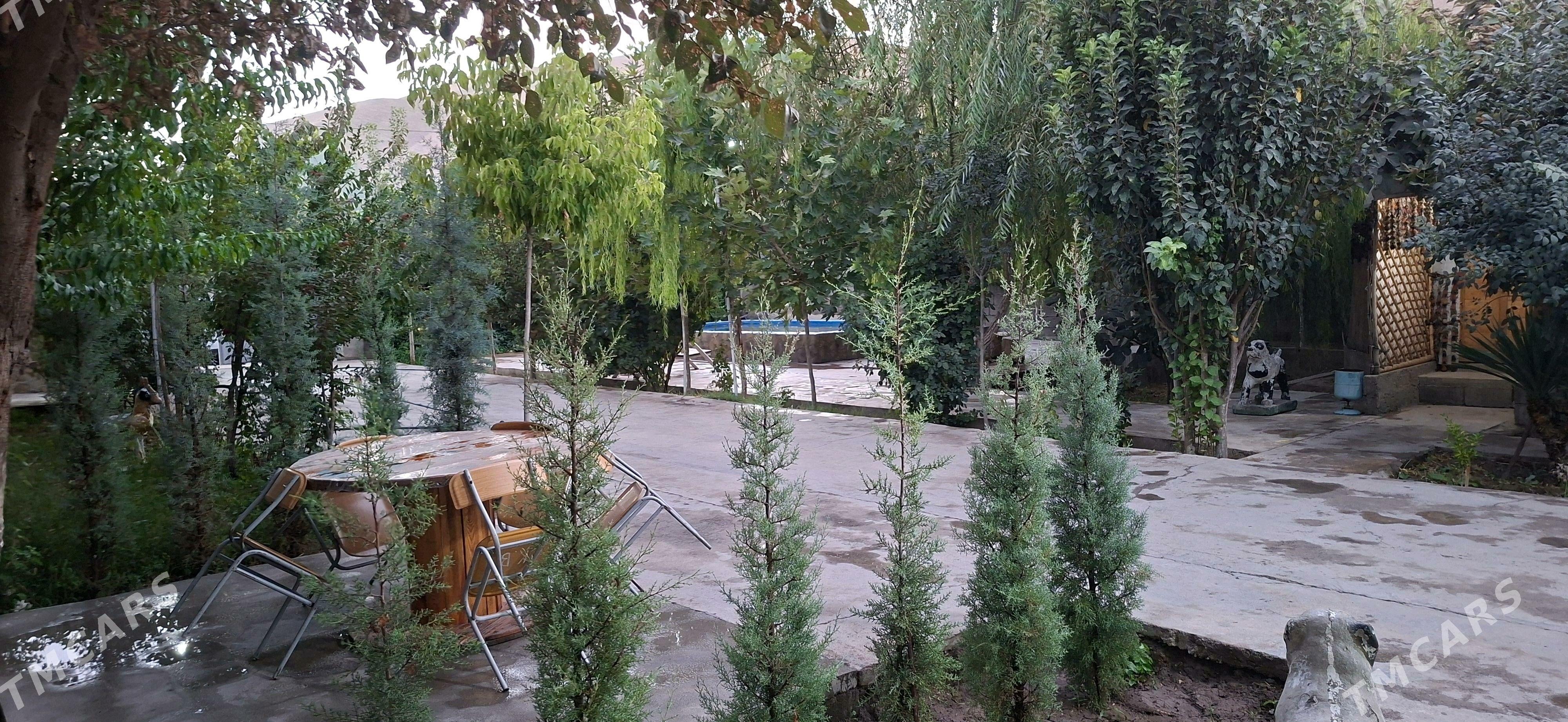 Hywat Daca - Kaka - img 4