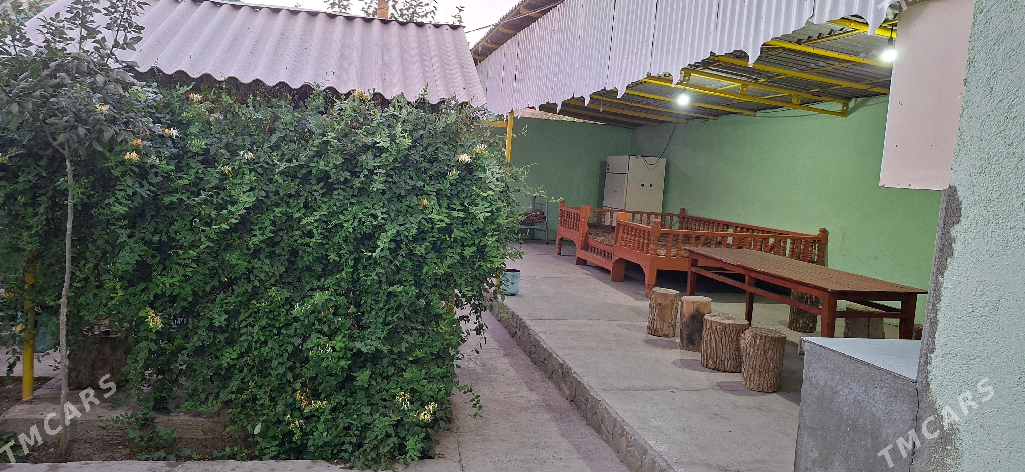 Hywat Daca - Kaka - img 6