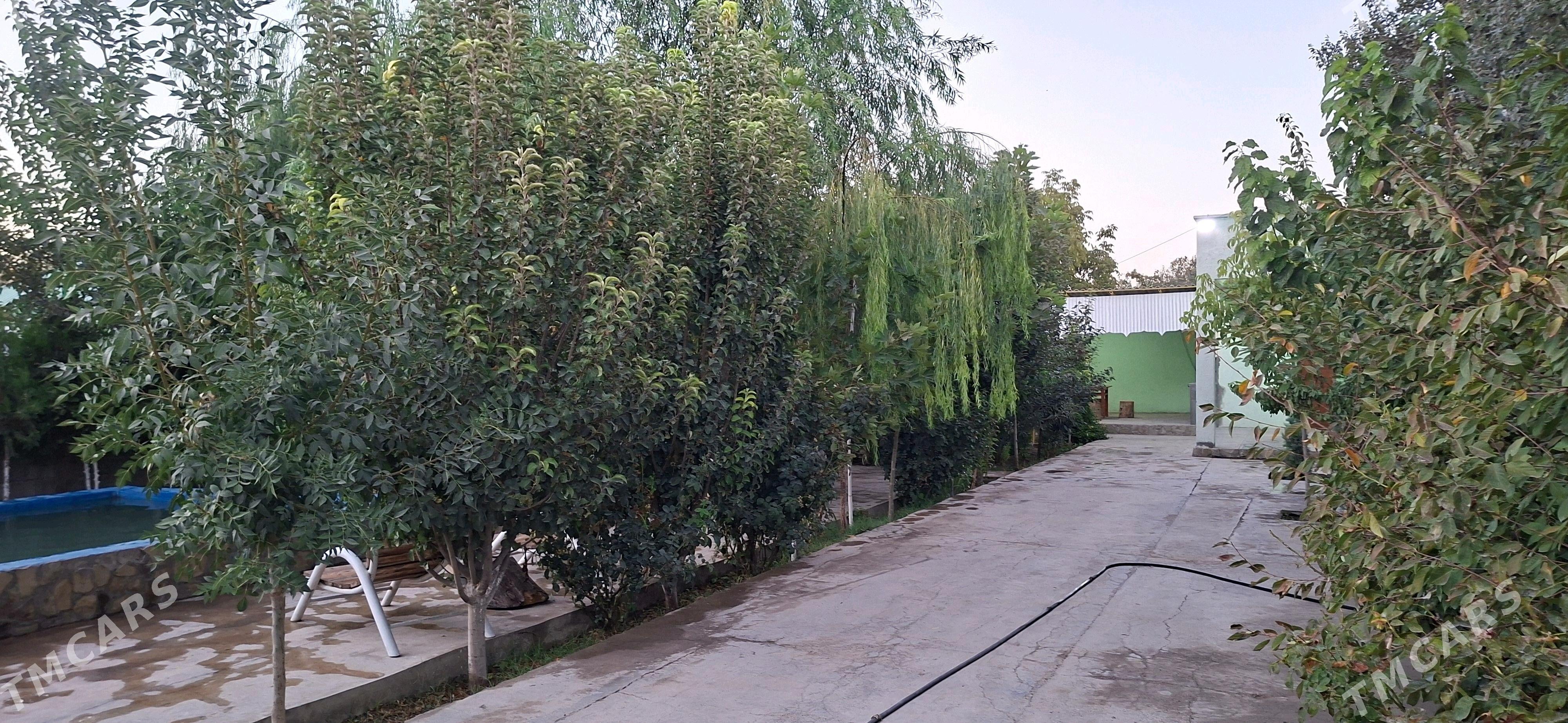 Hywat Daca - Kaka - img 8