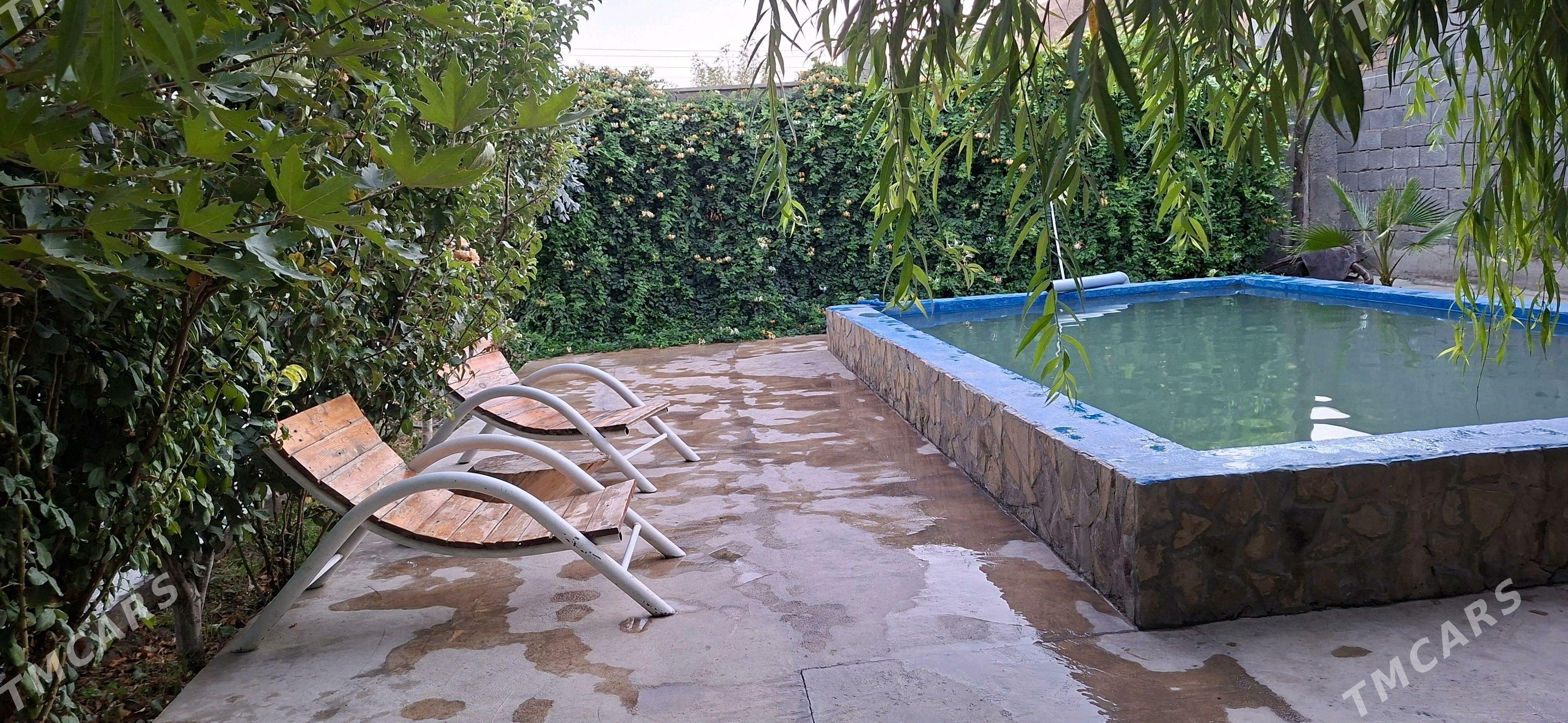 Hywat Daca - Kaka - img 7