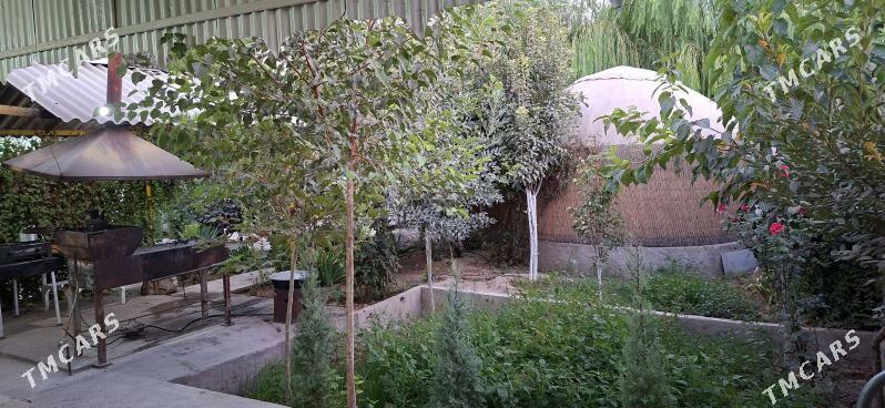 Hywat Daca - Kaka - img 9