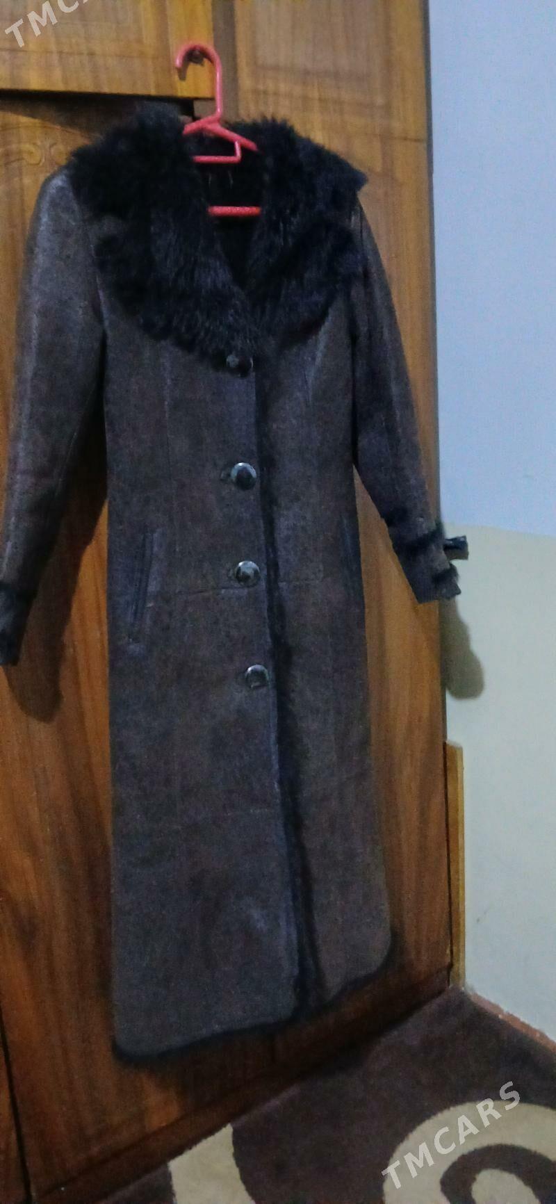 gyyzla şubasy ici meh - Бузмеин - img 1