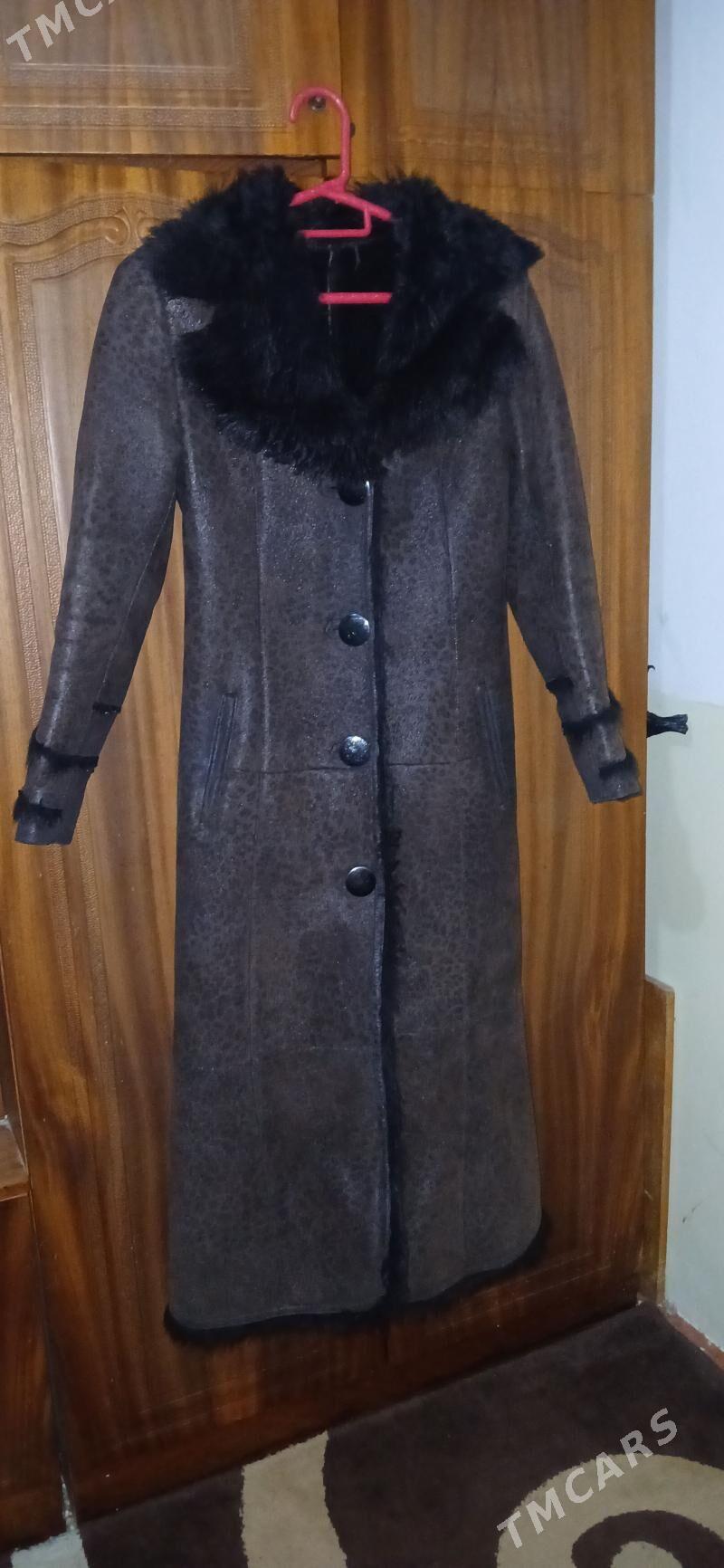 gyyzla şubasy ici meh - Бузмеин - img 3