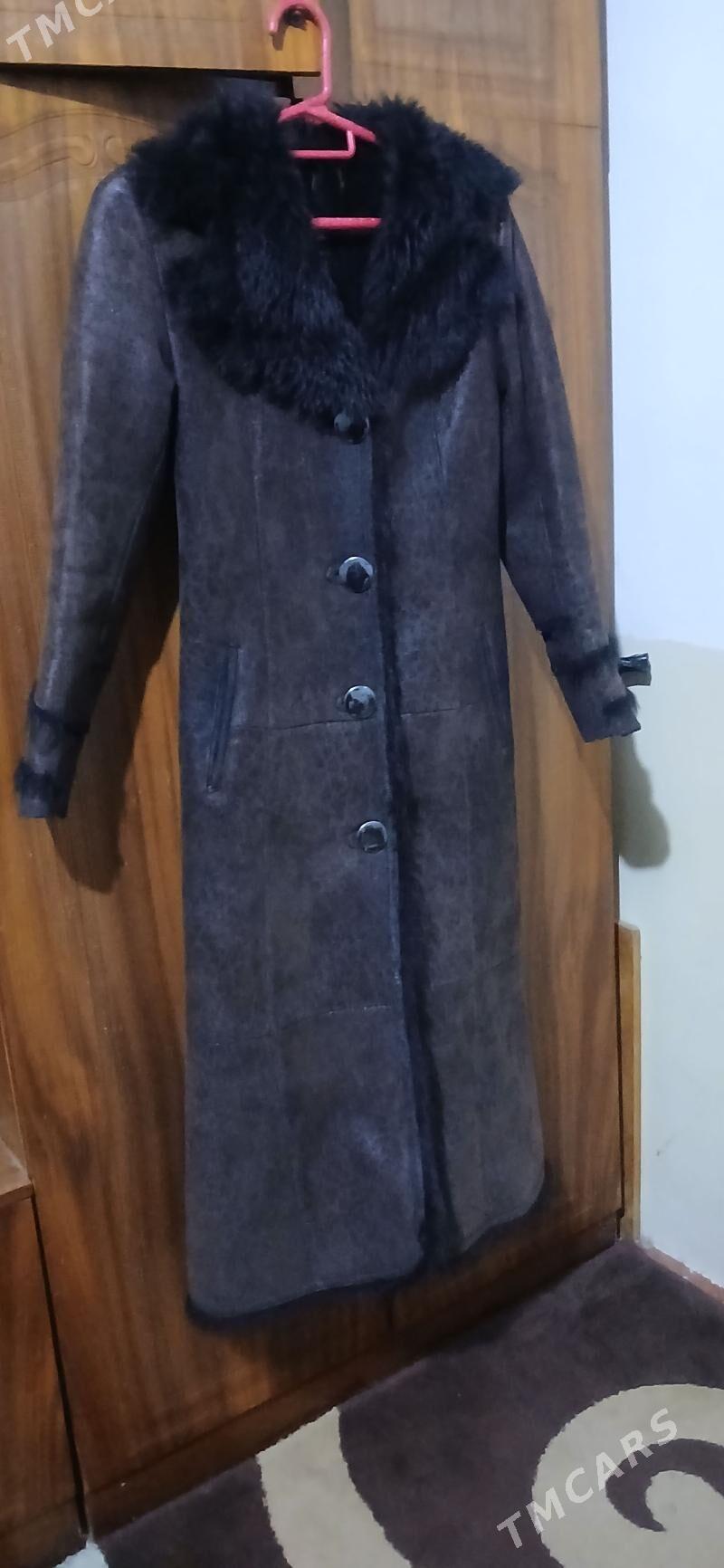 gyyzla şubasy ici meh - Бузмеин - img 2