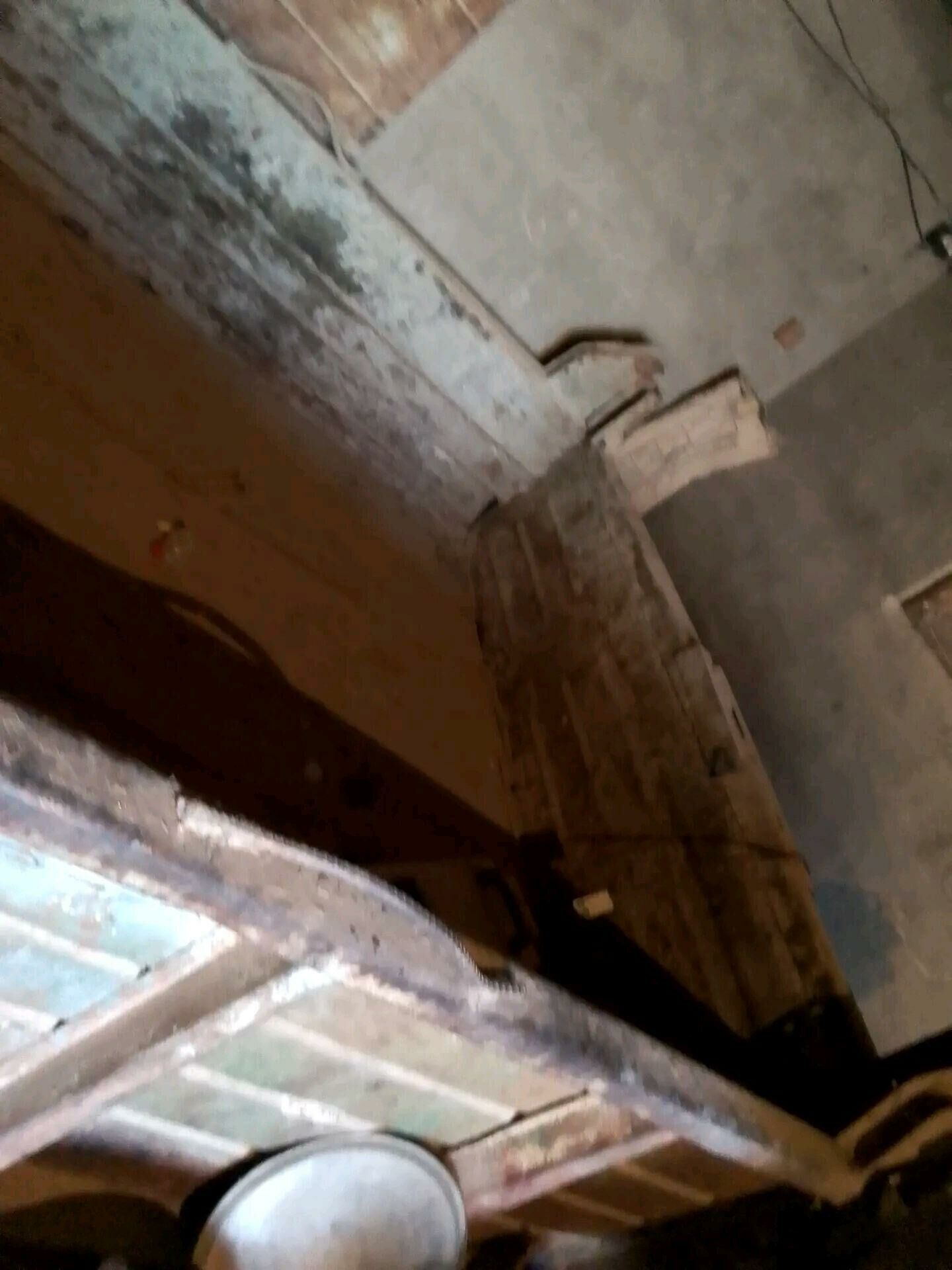 ZYLYŇ KUZGASY 3 000 TMT - Теджен - img 2