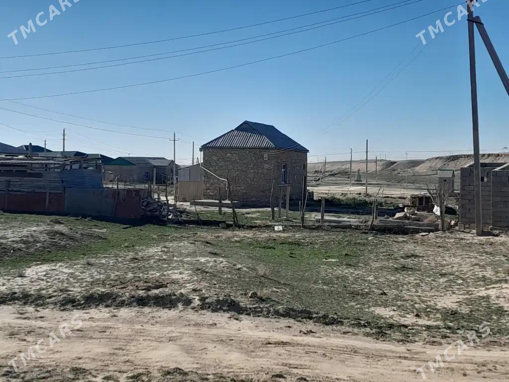 Etrek jay - Etrek - img 2