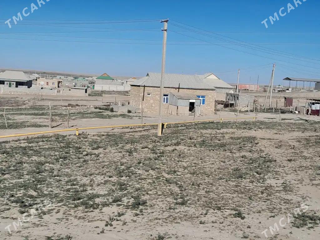 Etrek jay - Etrek - img 3