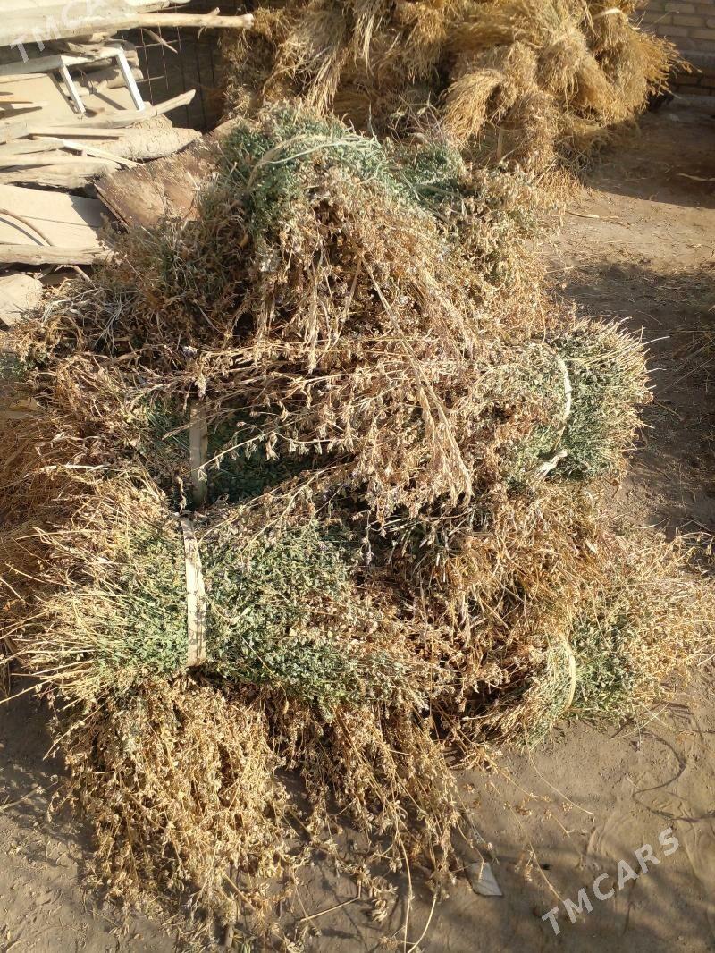 Ot bar - Керки - img 4