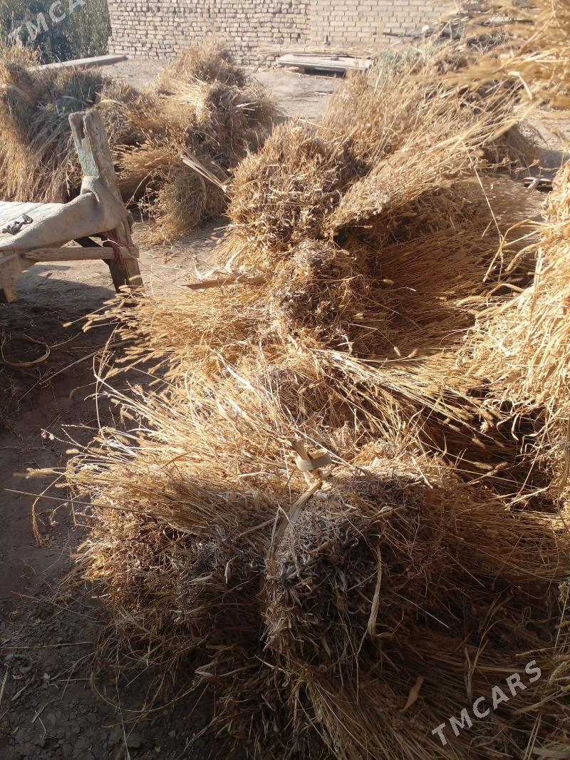 Ot bar - Керки - img 3