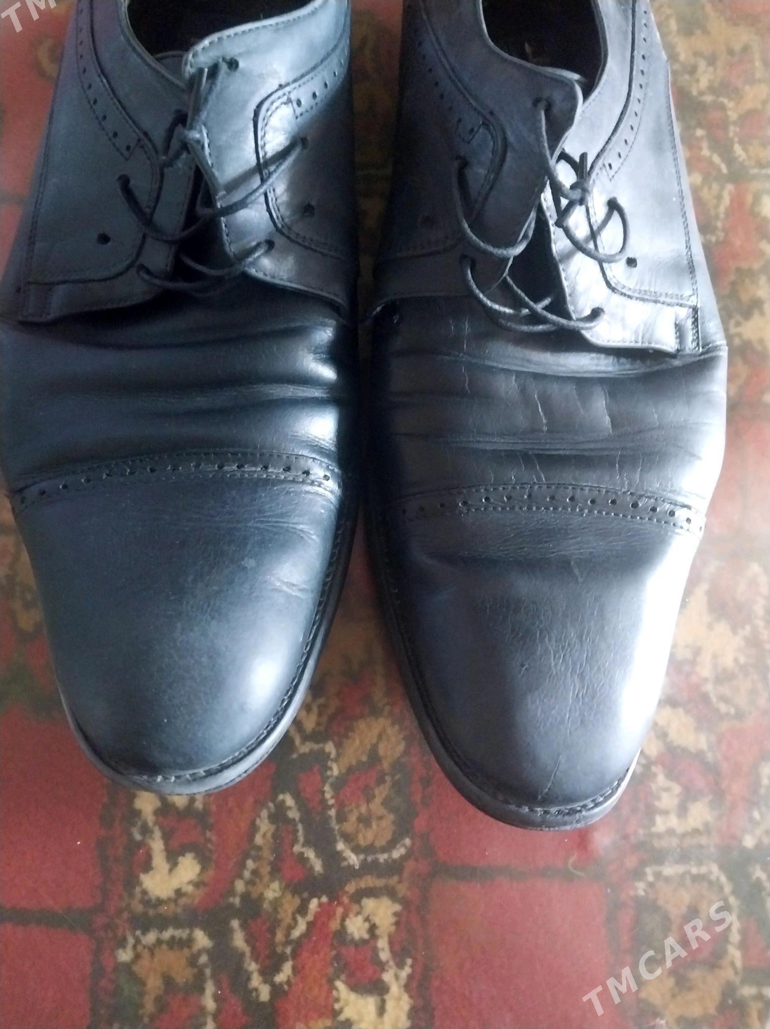 KEMAL TANCA - Daşoguz - img 3