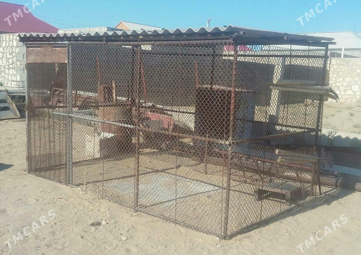 Yatak ketek - Джебел - img 1