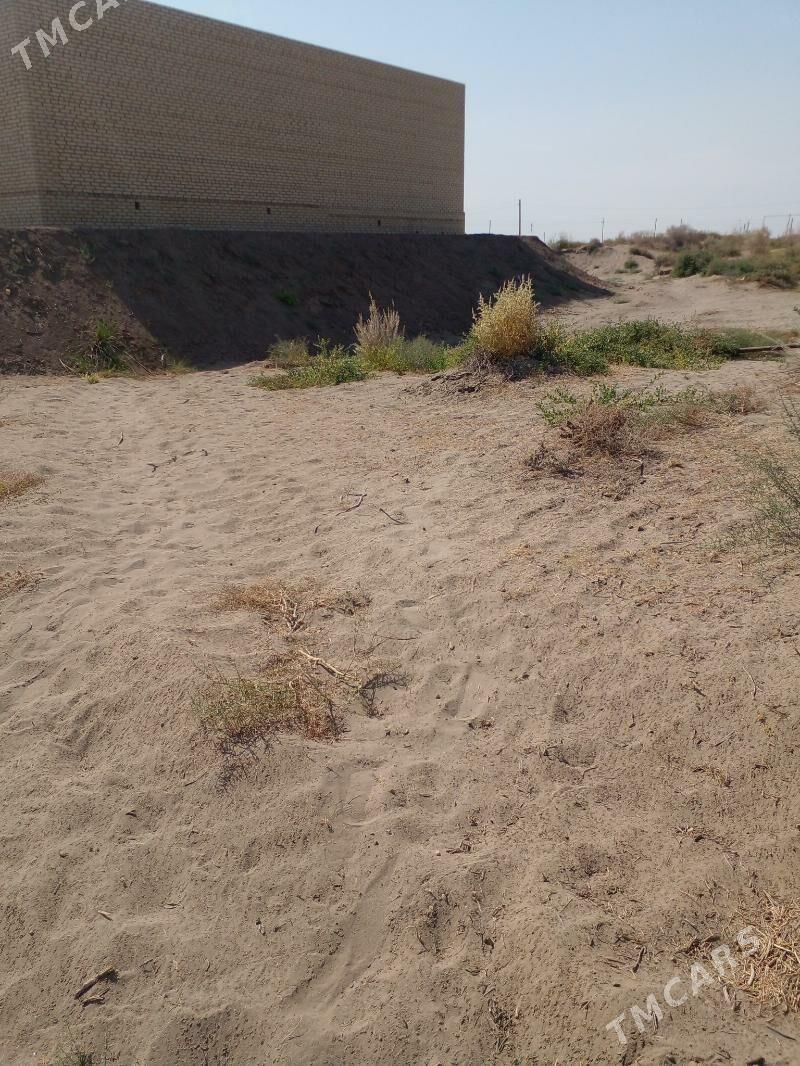 mellek - Kerki - img 2