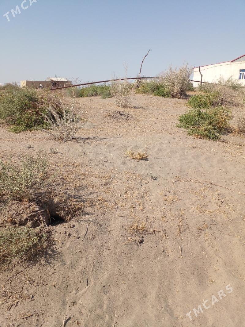 mellek - Kerki - img 1