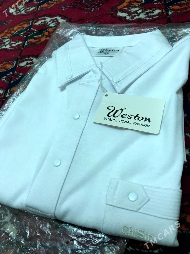 Weston Koynek - Ашхабад - img 2