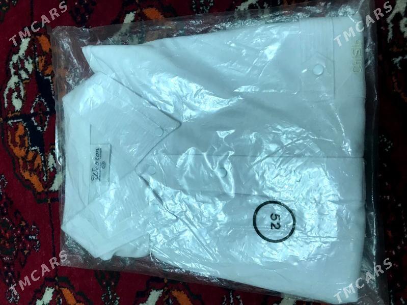 Weston Koynek - Ашхабад - img 5