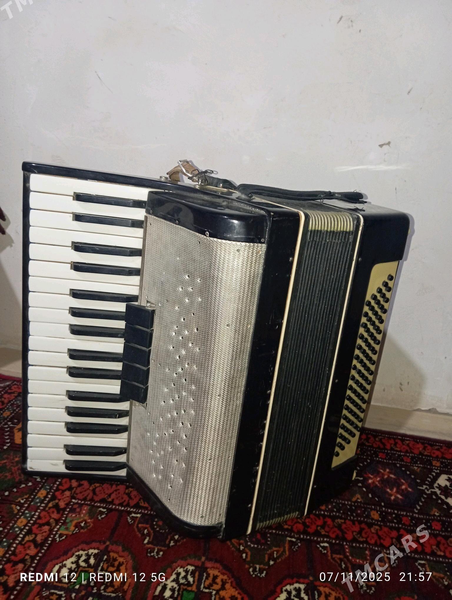 akardion - Кёнеургенч - img 3