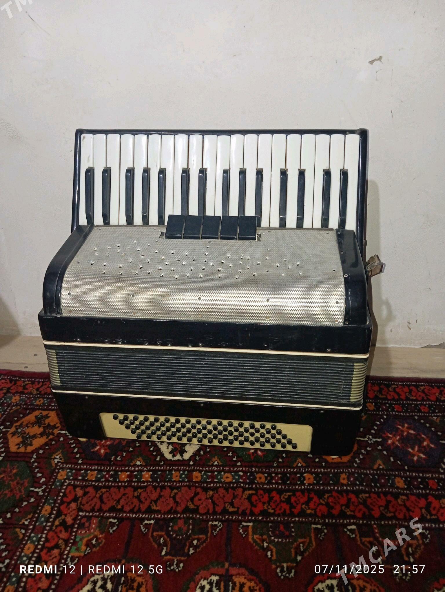 akardion - Кёнеургенч - img 2