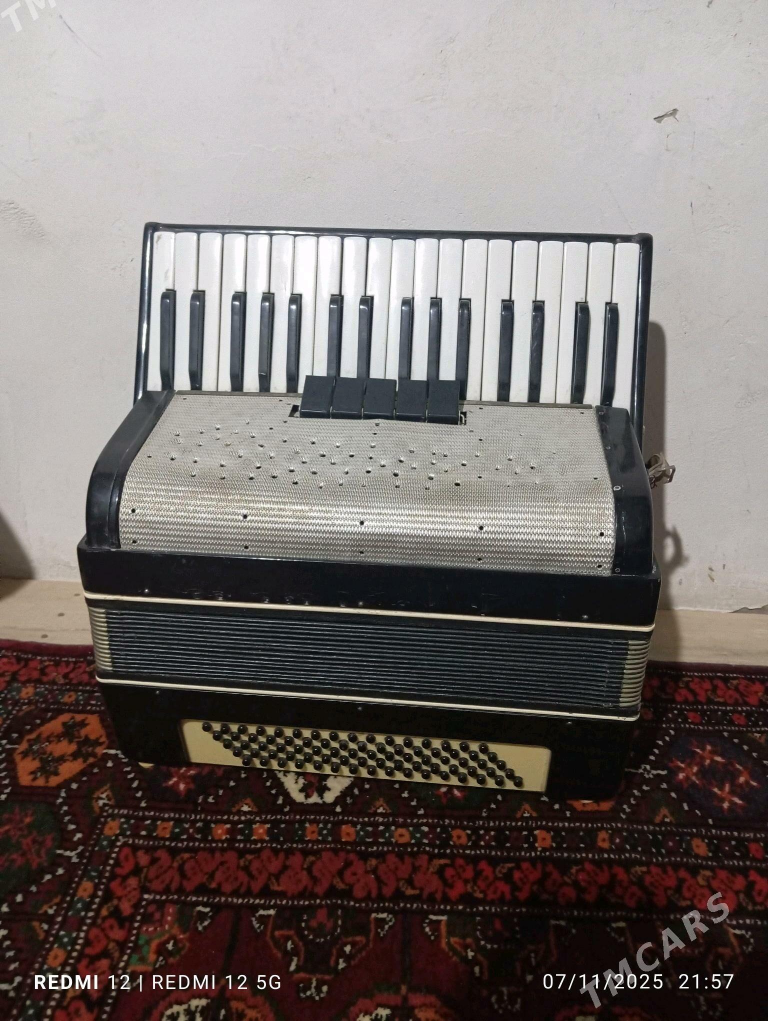 akardion - Кёнеургенч - img 1