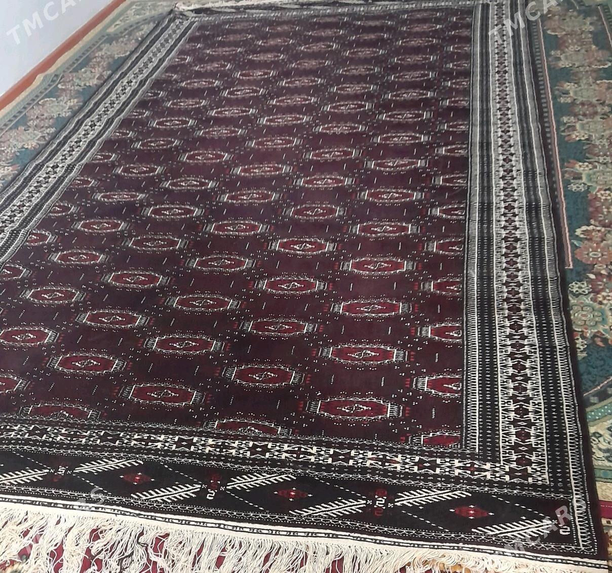 el haly - Balkanabat - img 2