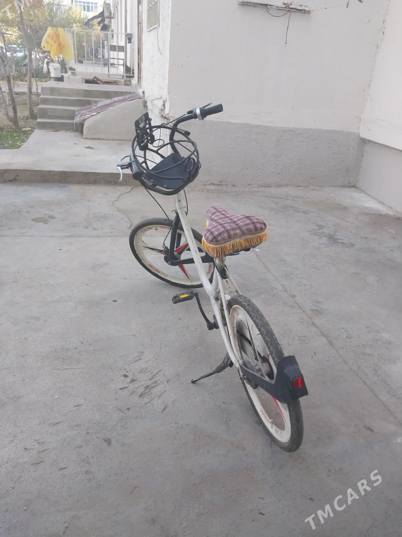 tigir - Büzmeýin GRES - img 1