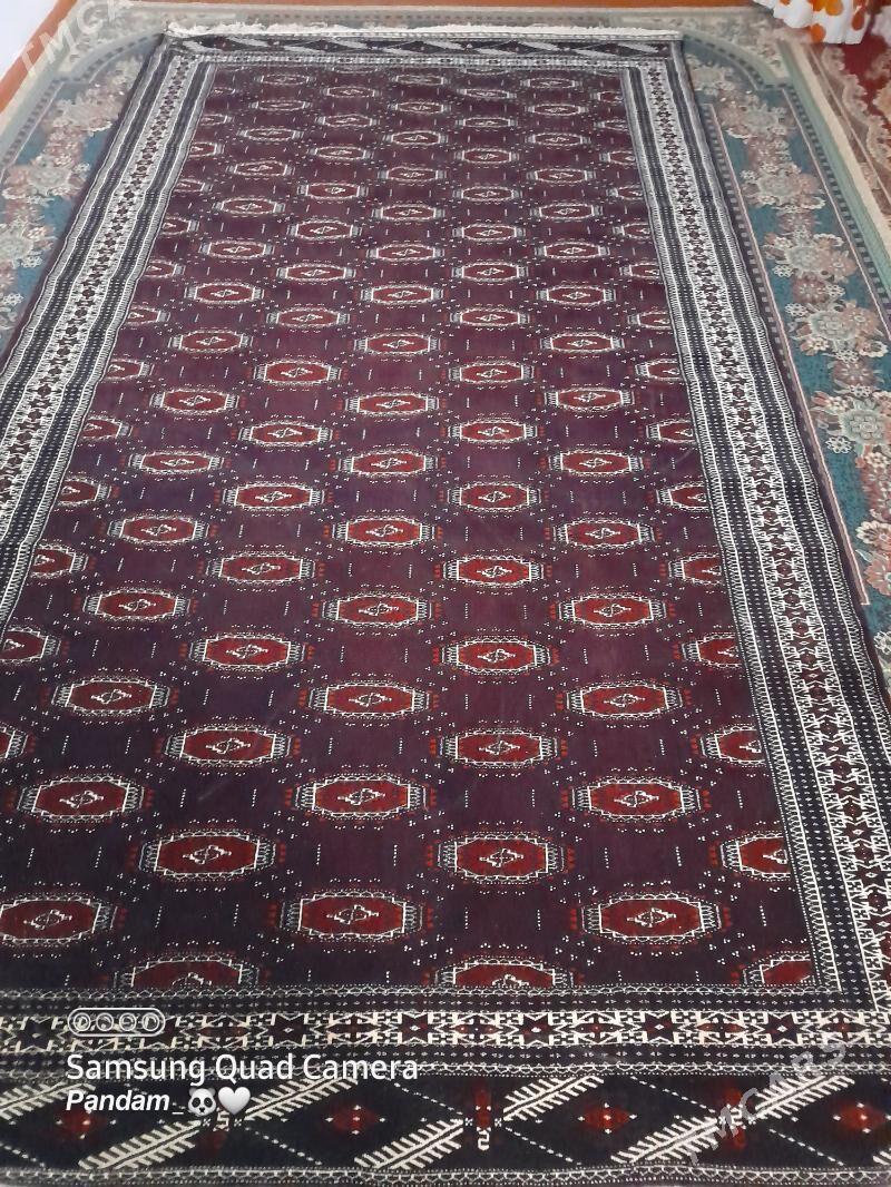 haly - Balkanabat - img 4