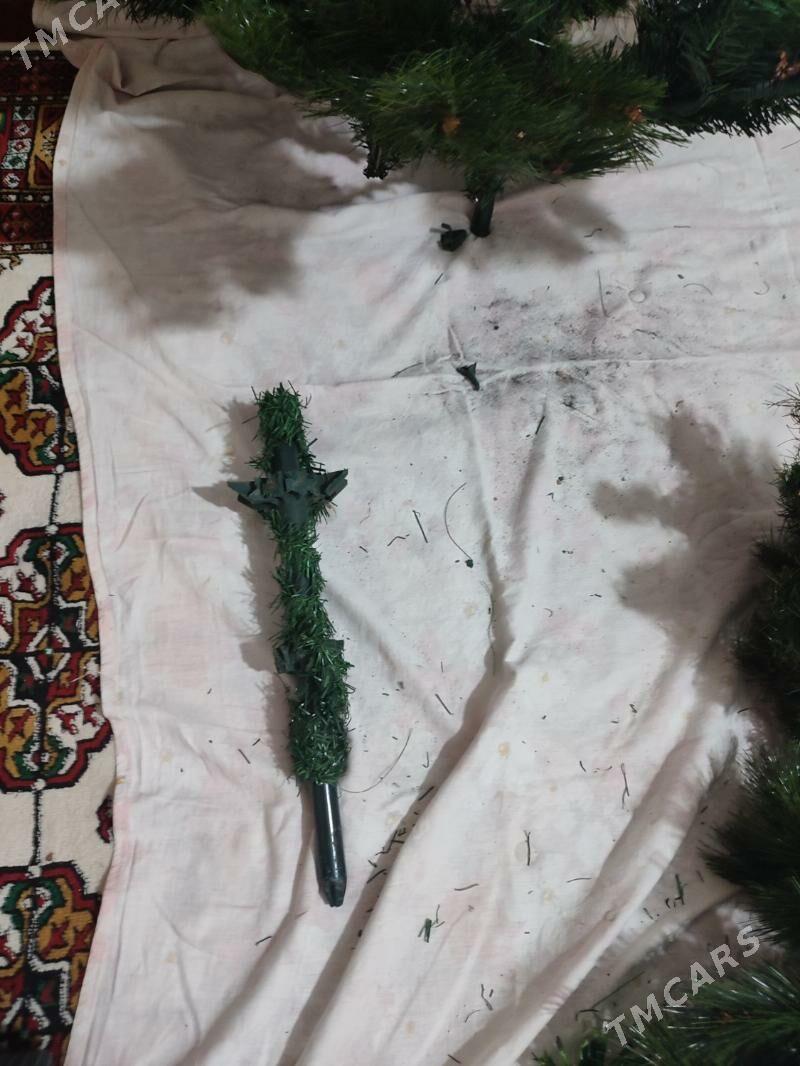 Ýolka. - Aşgabat - img 1