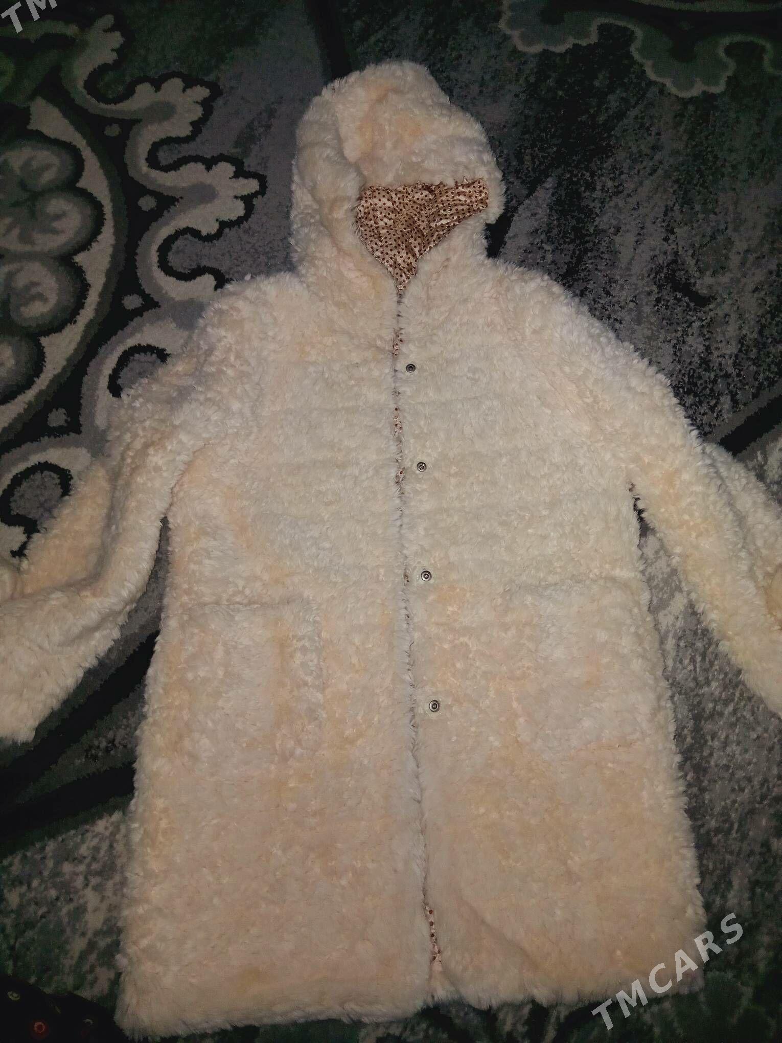 caga şuba - Balkanabat - img 2