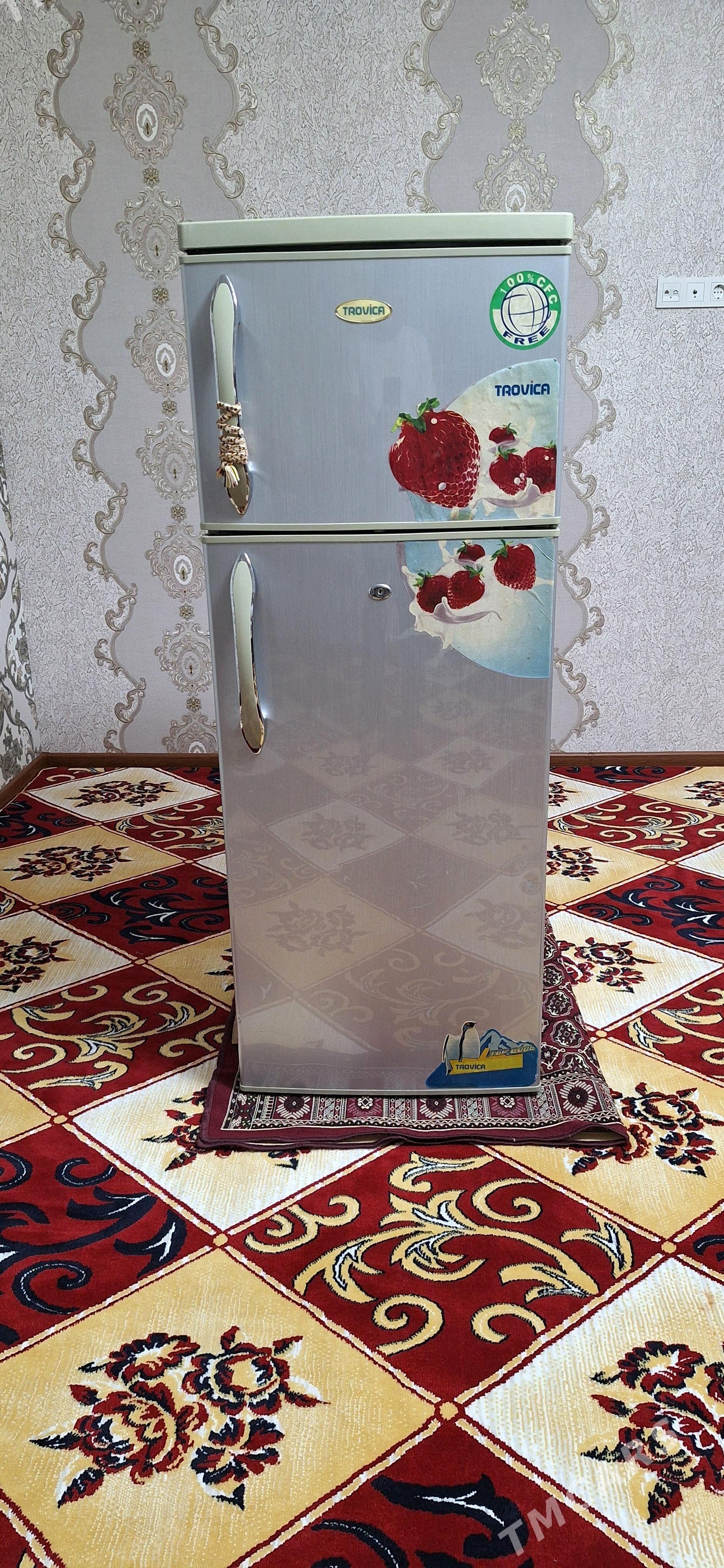 Holodinik - Бабадайхан - img 6