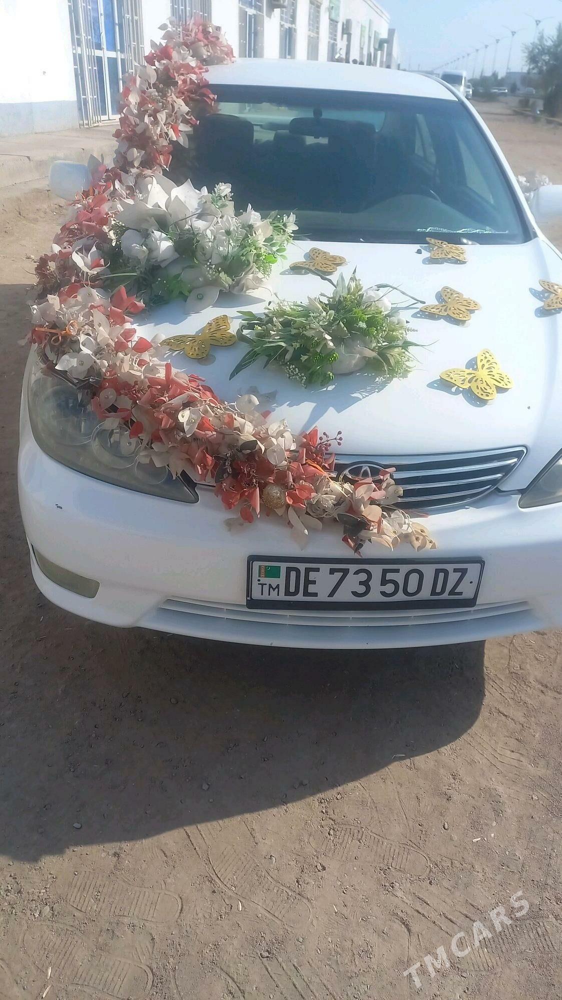 Toyota Camry 2003 - 160 000 TMT - Дашогуз - img 1