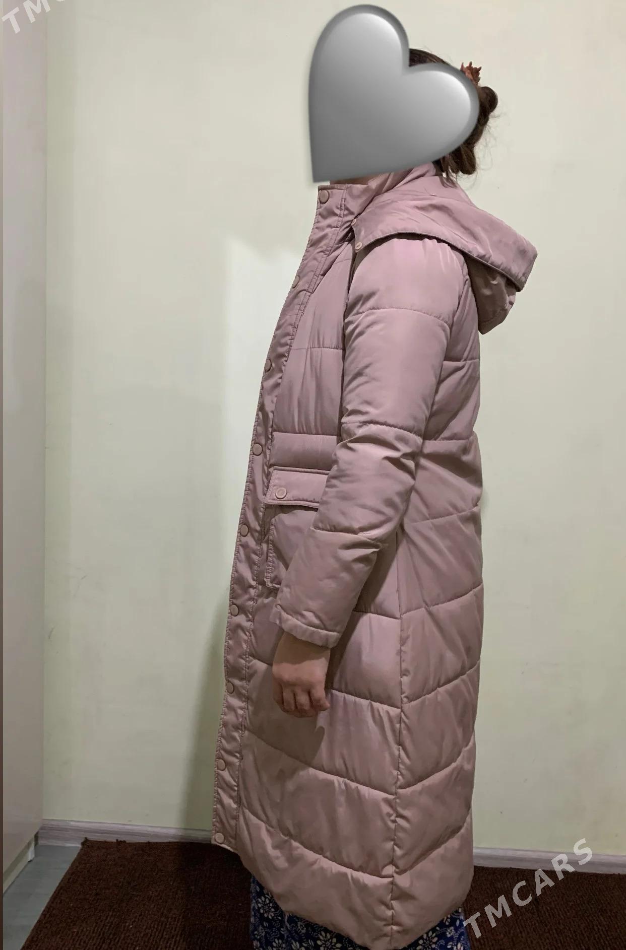 Ayal gyz kurtga - Хитровка - img 2