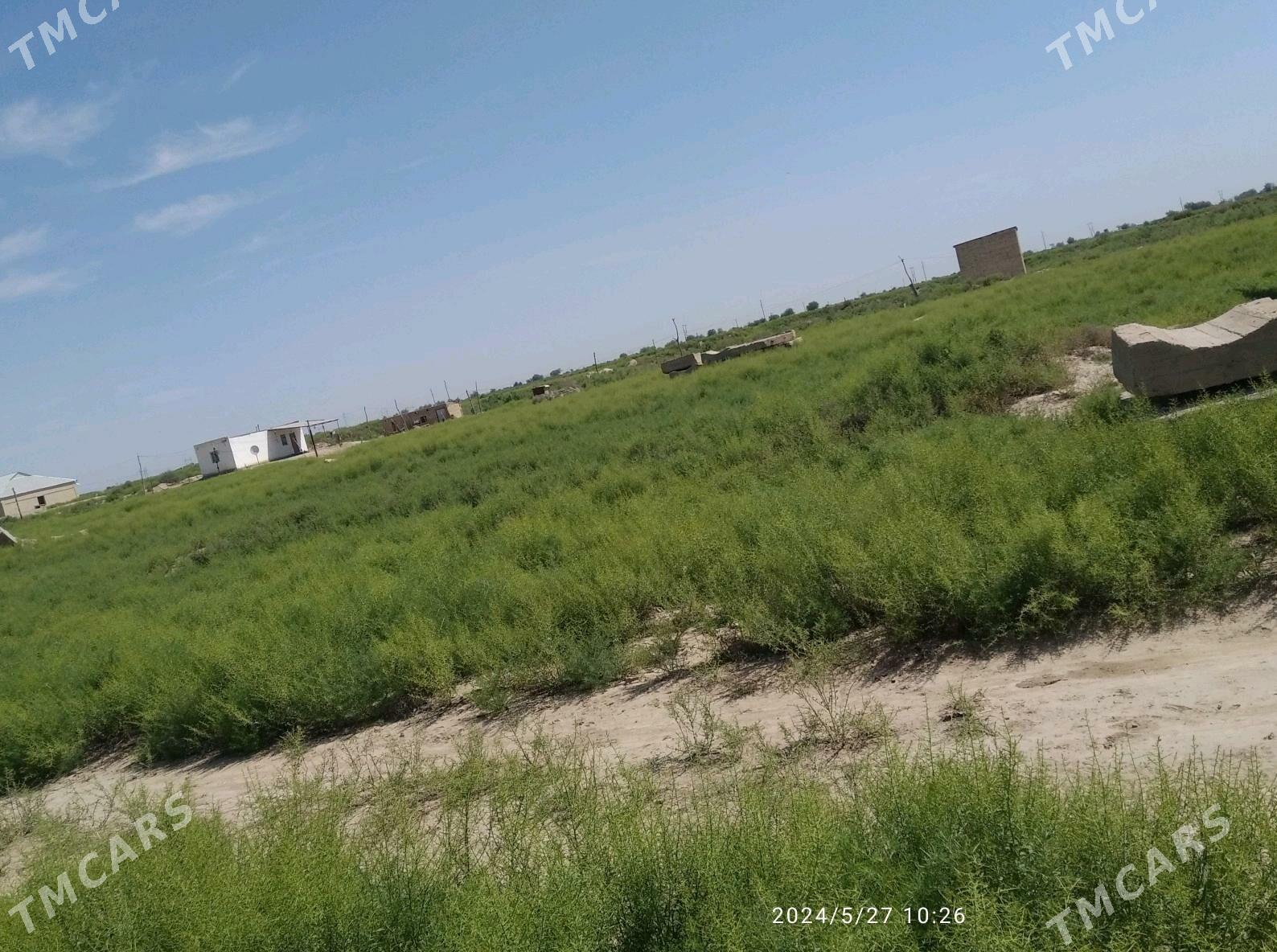 Mellek yer - Baýramaly - img 2