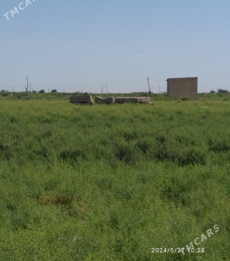 Mellek yer - Baýramaly - img 1