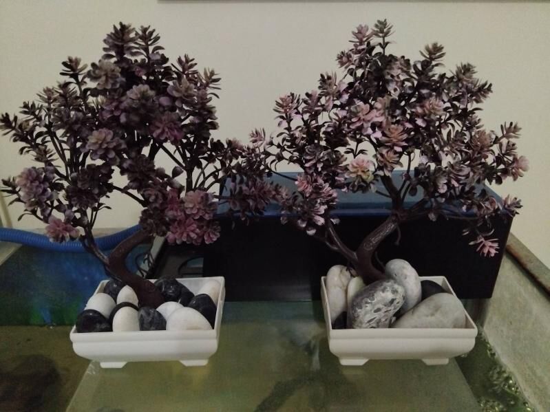 акссесуары и декор - Бузмеин ГРЭС - img 4