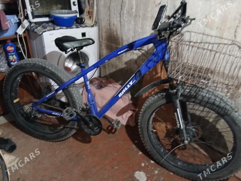 tigir - Köşi - img 1