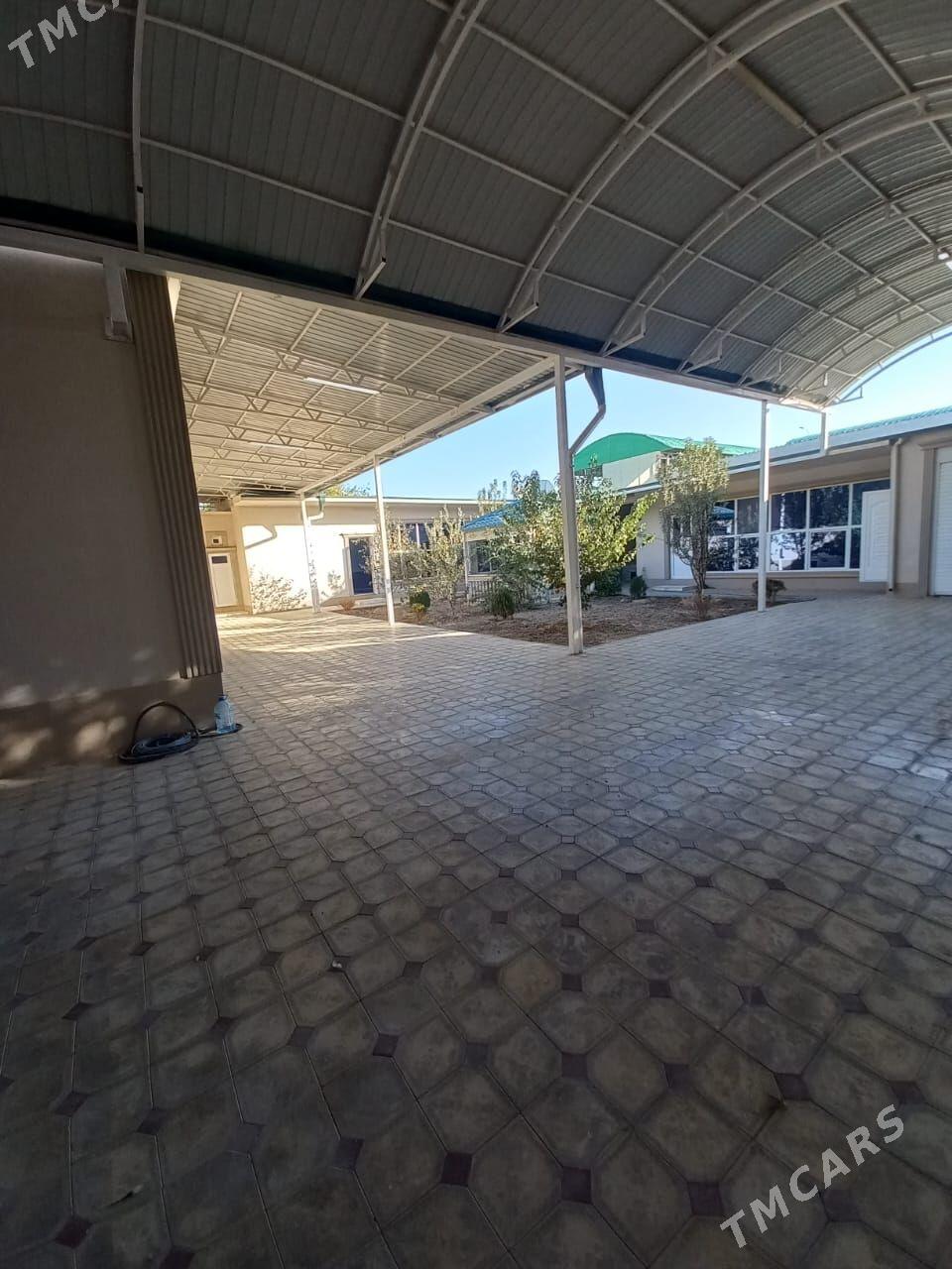 satlyk anew plan - Анев - img 5