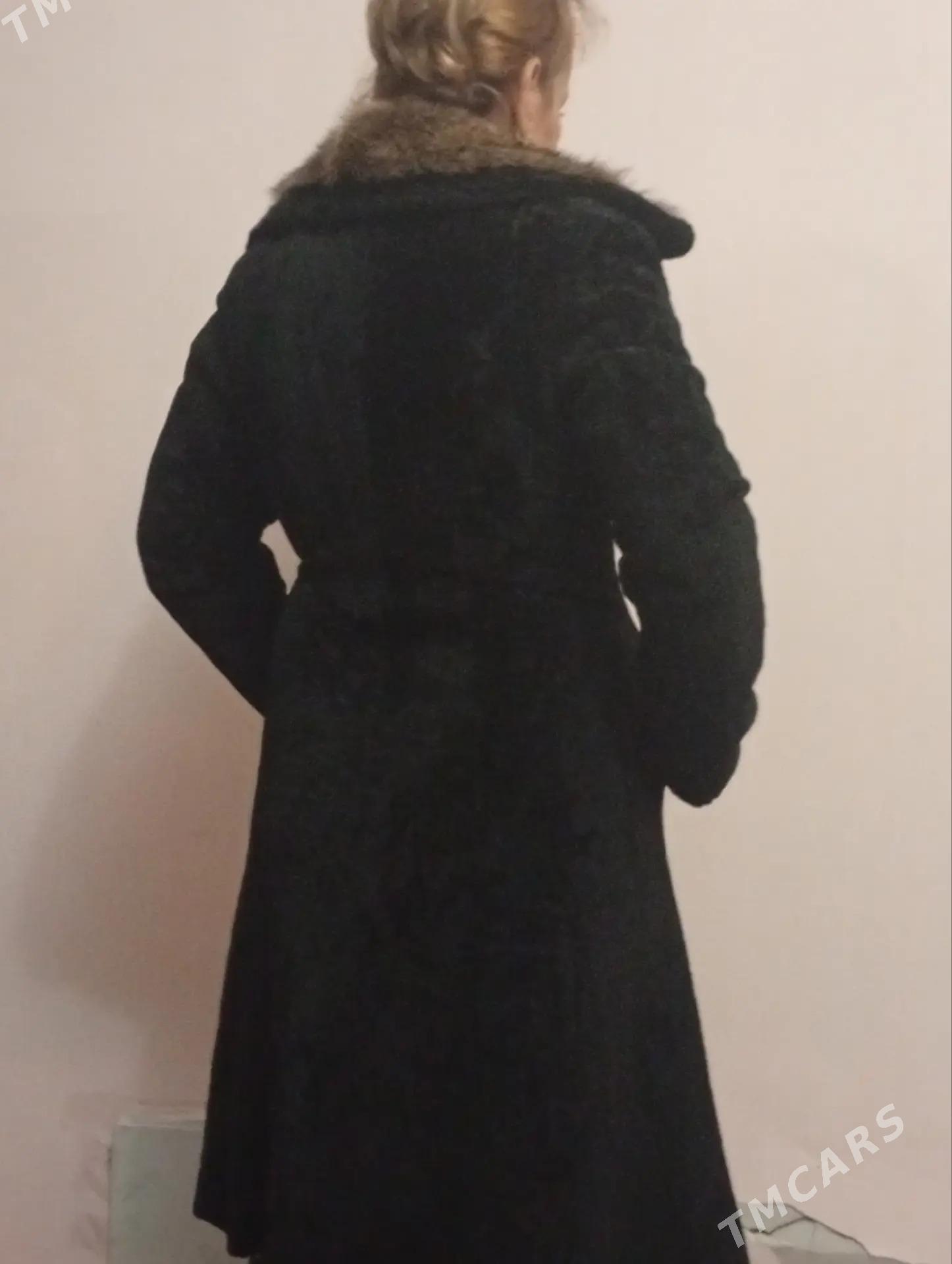 palto norka - Daşoguz - img 3