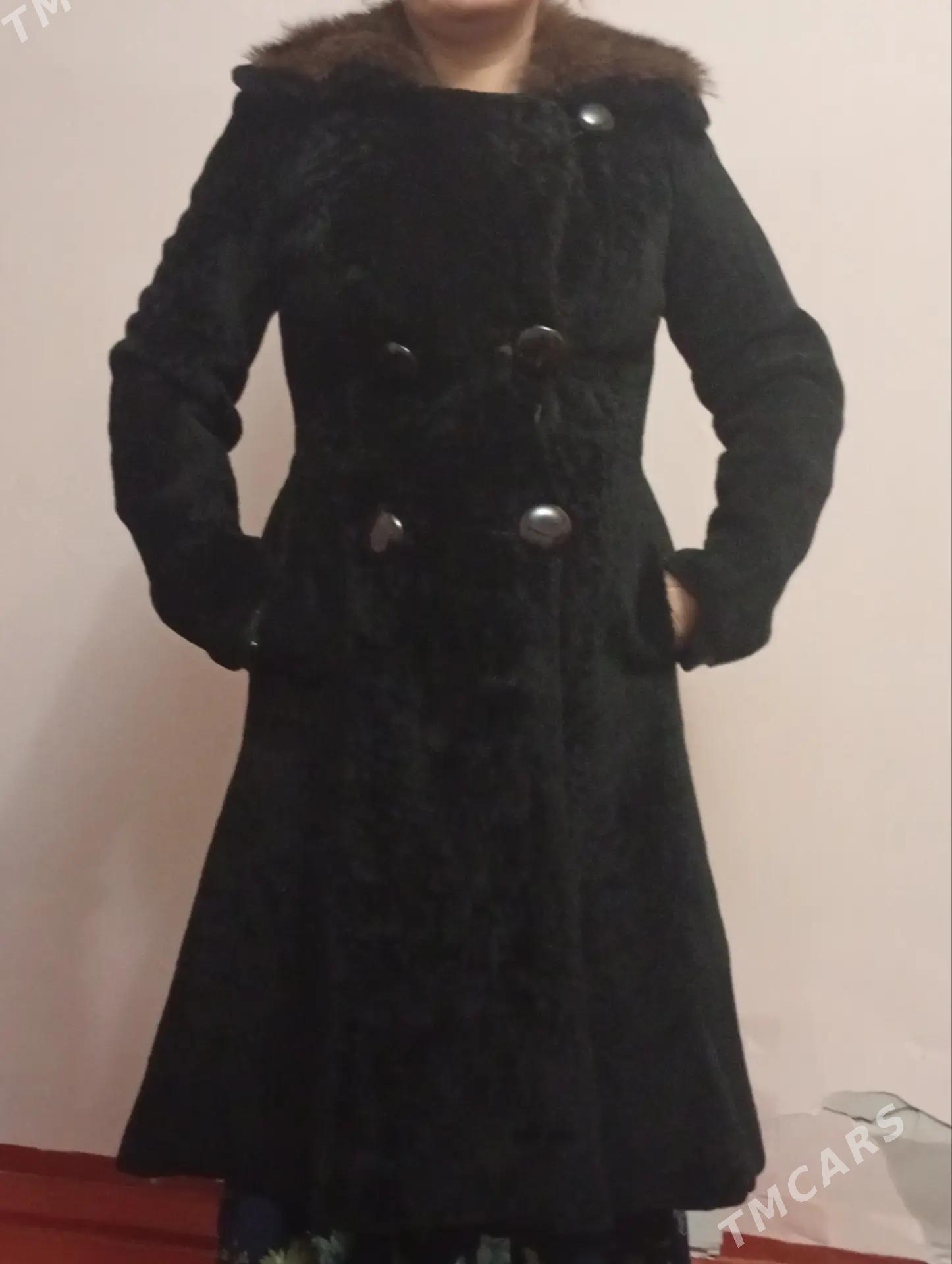 palto norka - Daşoguz - img 1