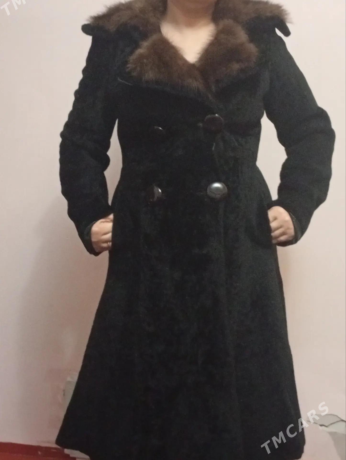 palto norka - Daşoguz - img 2