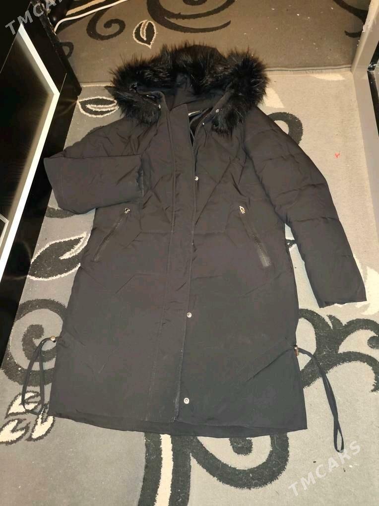 Zenan kurtlar - Daşoguz - img 2