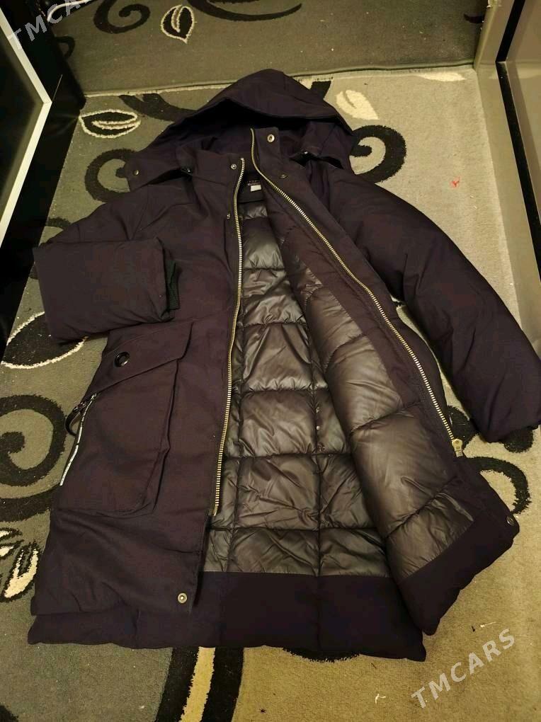 Zenan kurtlar - Daşoguz - img 3