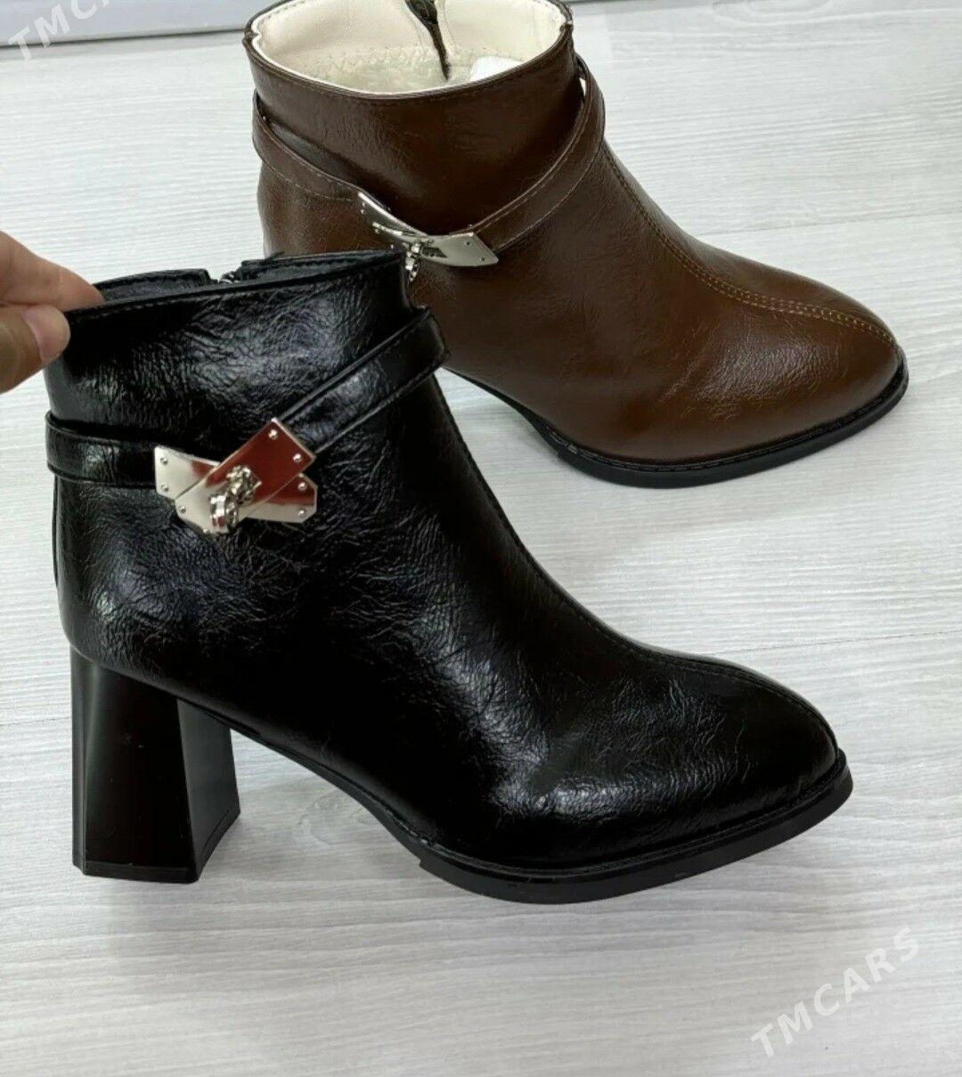 Adik - Daşoguz - img 2