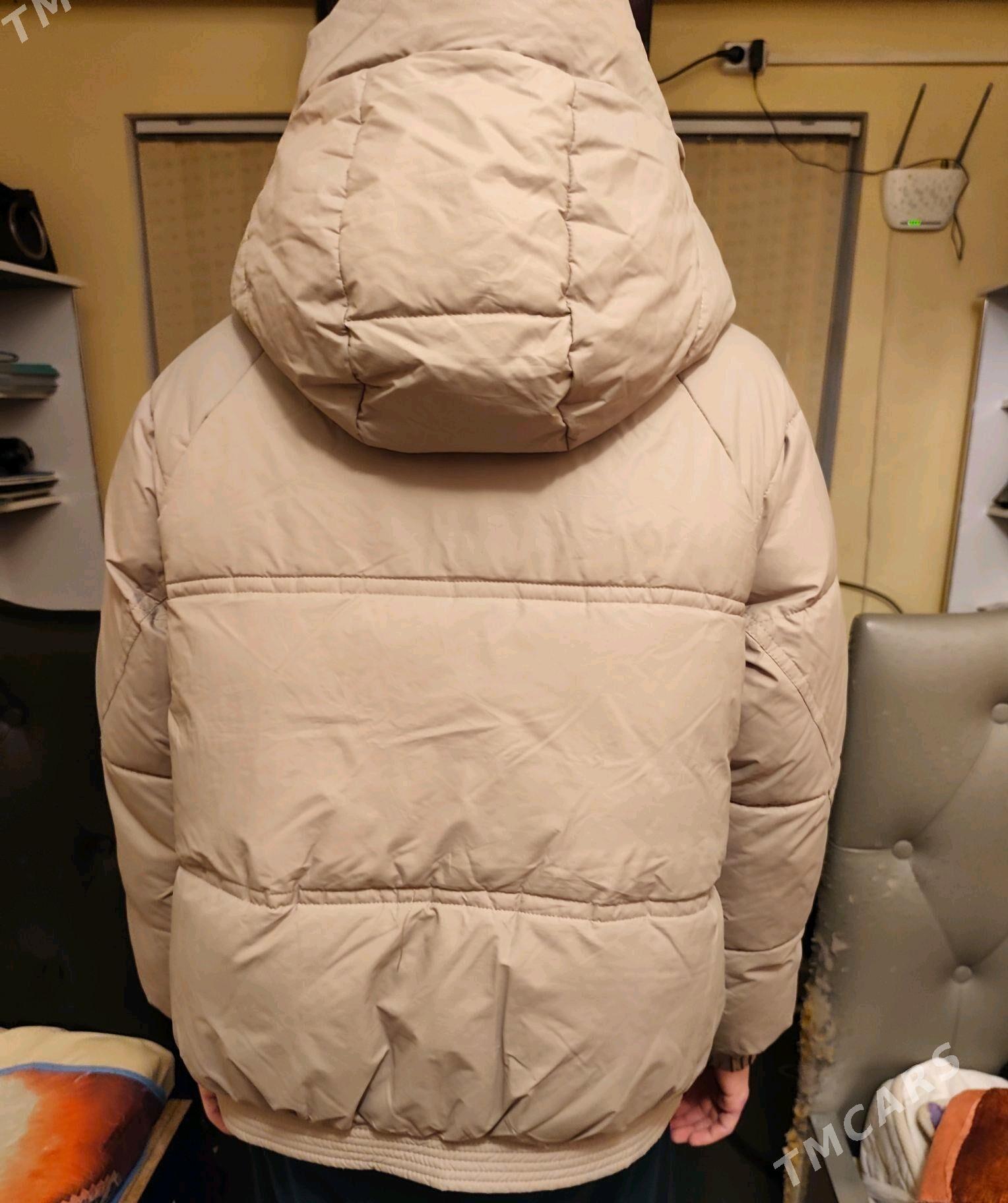 Zenan kurtlar - Daşoguz - img 5