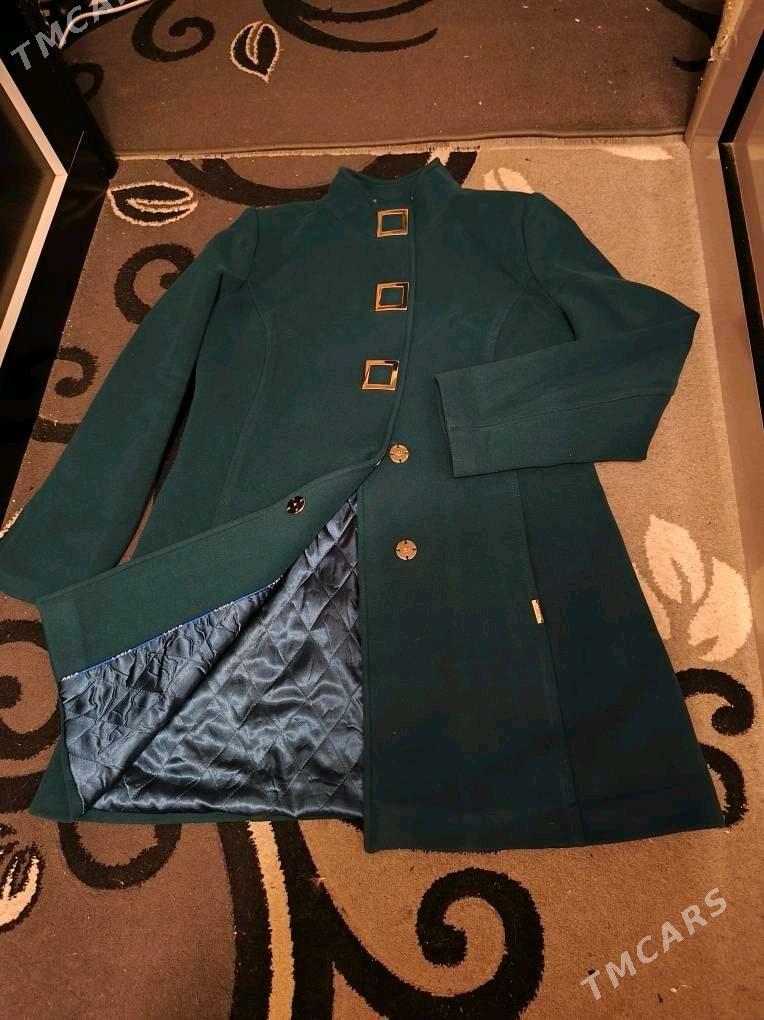 Zenan kurtlar - Daşoguz - img 4