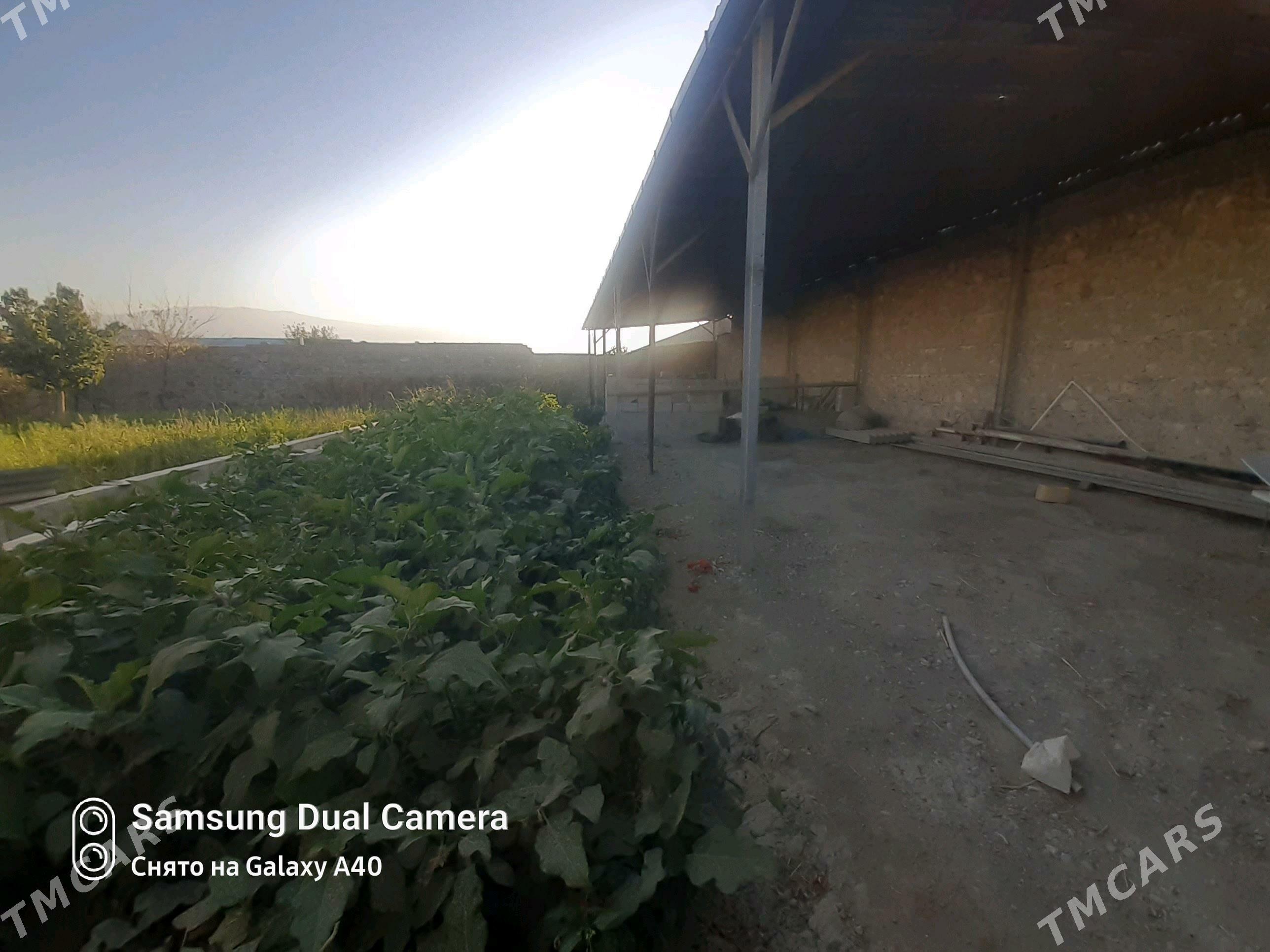 Satlyk jaý - Бахарден - img 6