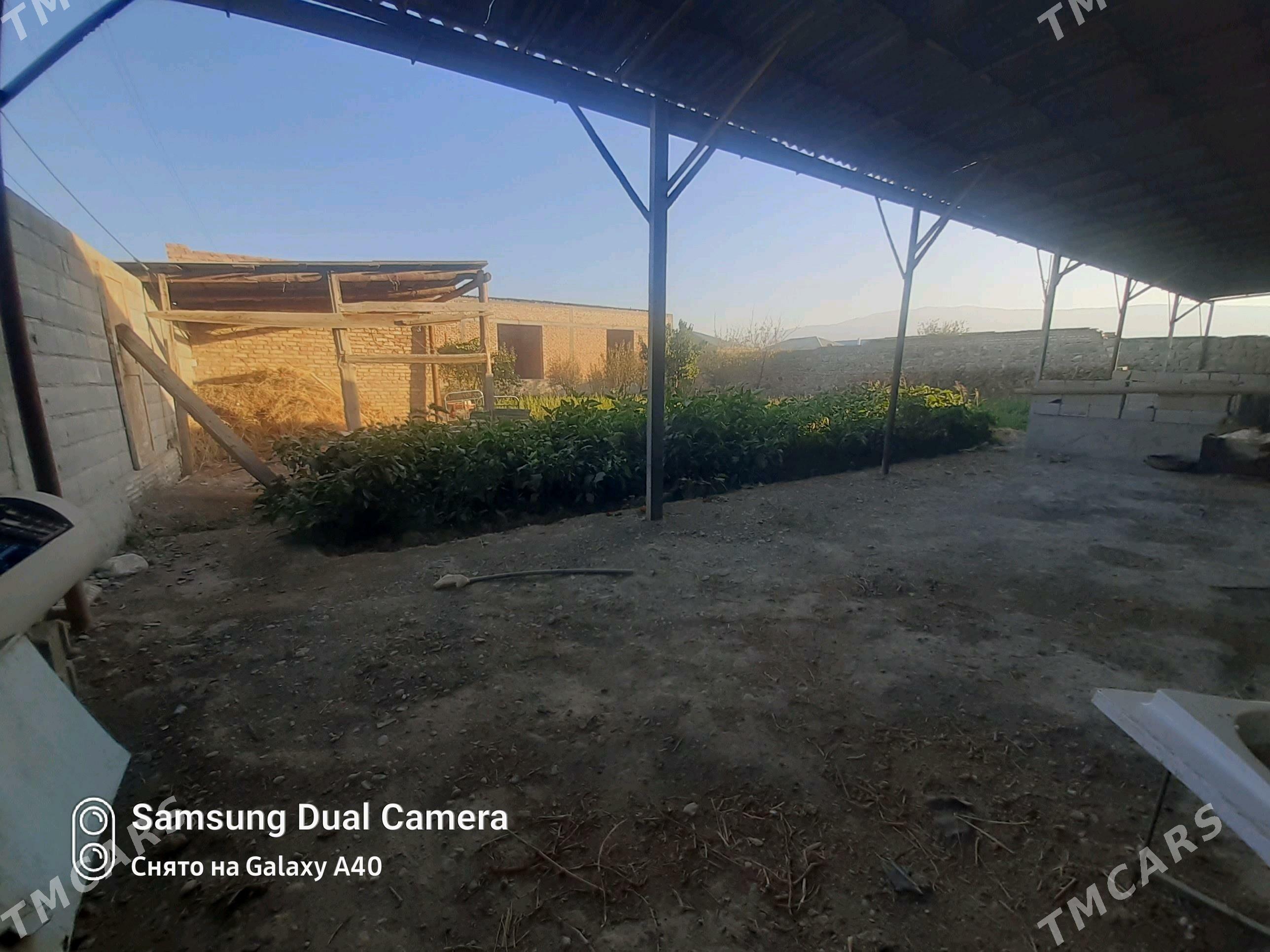 Satlyk jaý - Бахарден - img 7