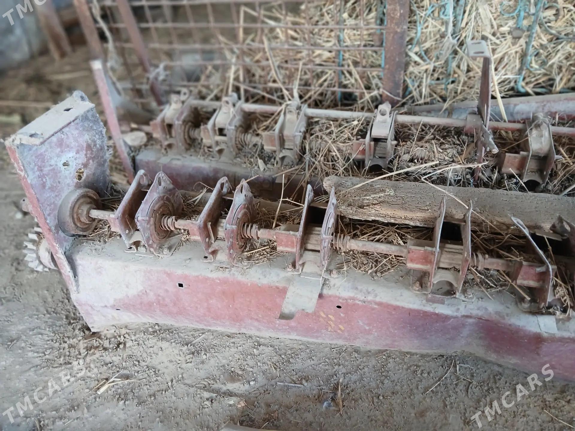 bunkur yorunja ekyan g - Ýaşlyk - img 4