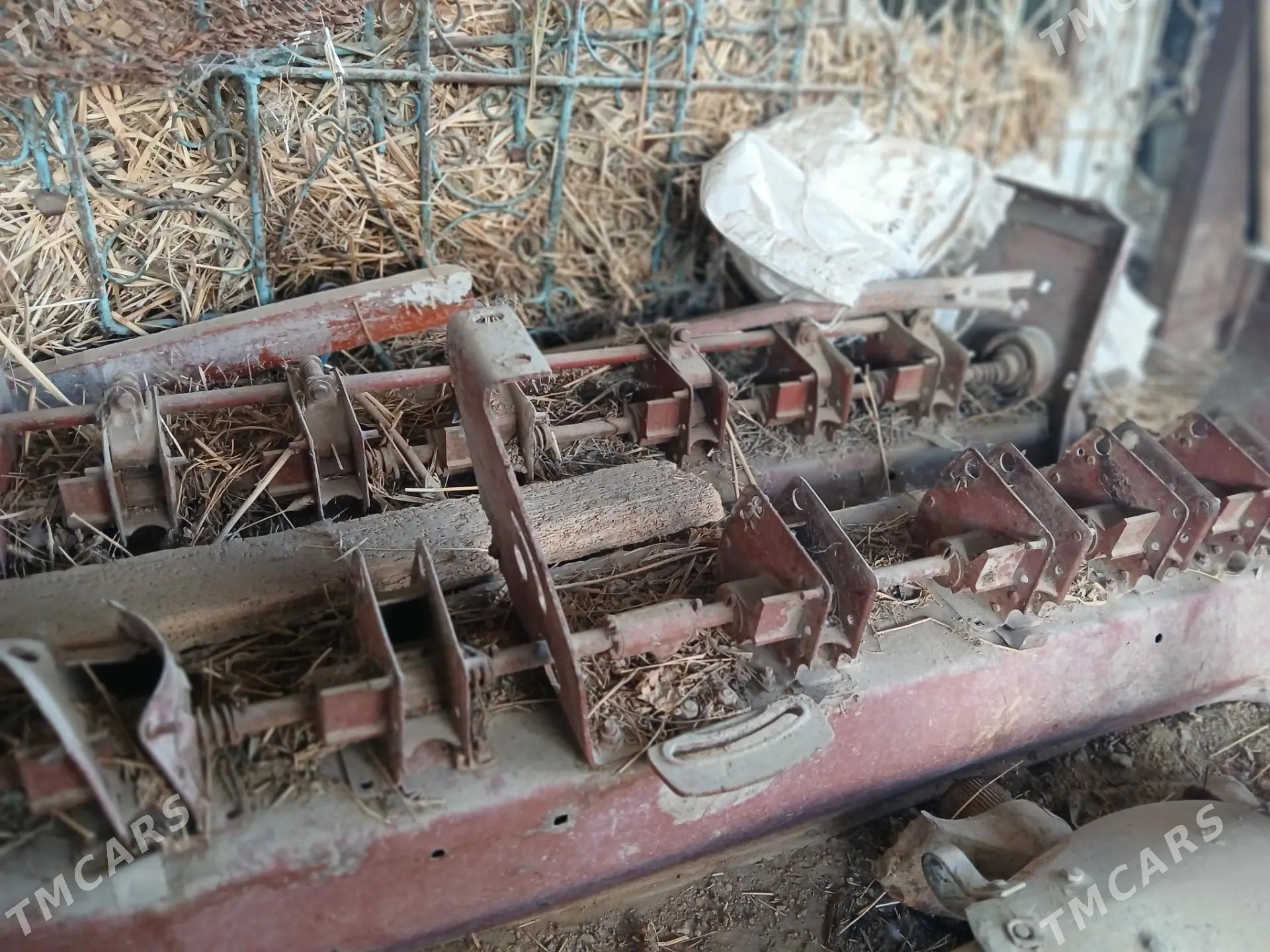 bunkur yorunja ekyan g - Ýaşlyk - img 5