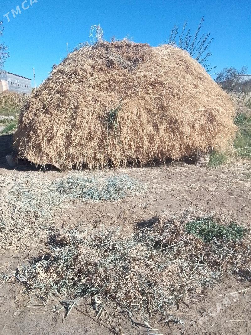 haşal ot - Мары - img 2