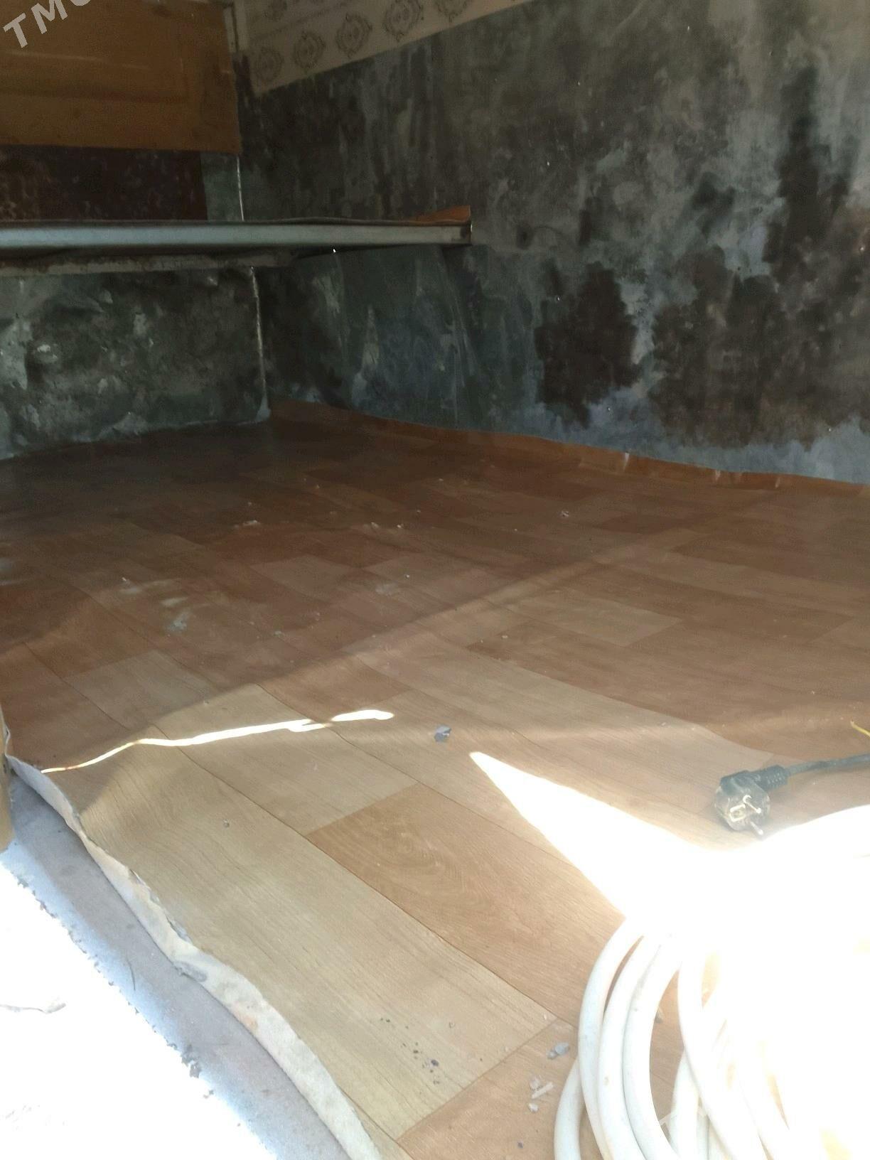 holodolnik butga - Махтумкули - img 5