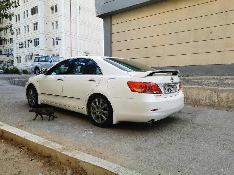 Aurion yz fara awat 300 TMT - Ашхабад - img 1